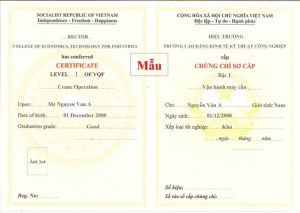 chứng chỉ lái cẩu