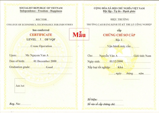 chứng chỉ lái cẩu