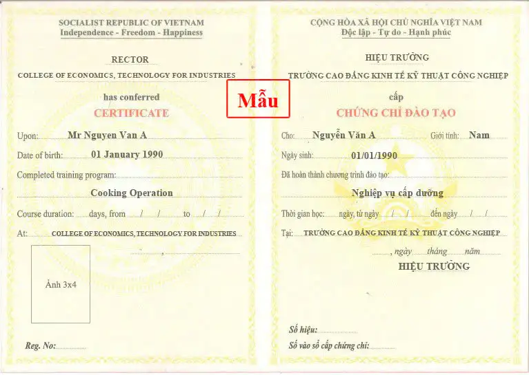 Chứng Chỉ Nghiệp Vụ Bảo Mẫu – Mầm Non – Cấp Dưỡng