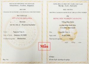 mẫu bằng cao đẳng từ xa