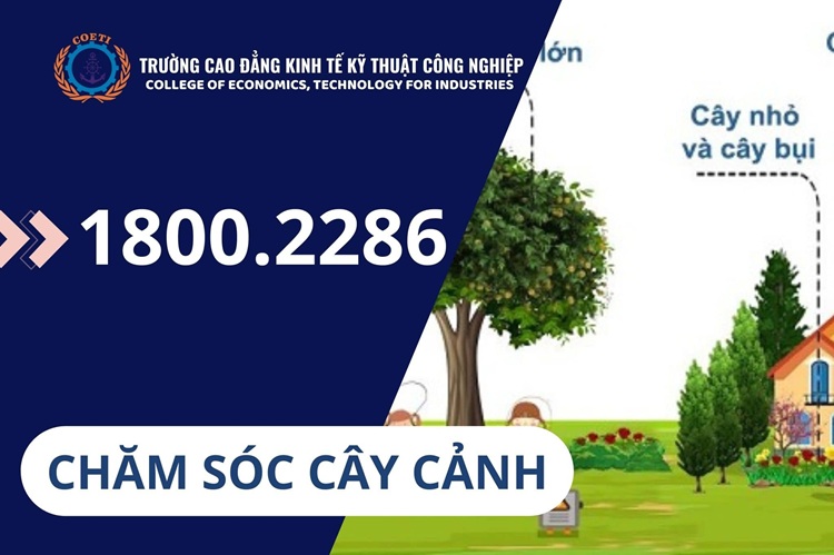 CHỨNG CHỈ CHĂM SÓC CÂY CẢNH