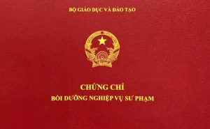 chứng chỉ sư phạm