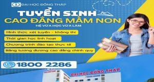 Cao đẳng mầm non Online